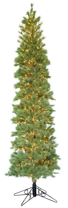 Studio Spruce