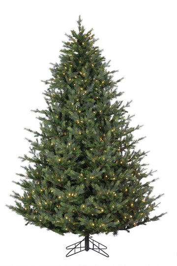 Silver Lake Spruce