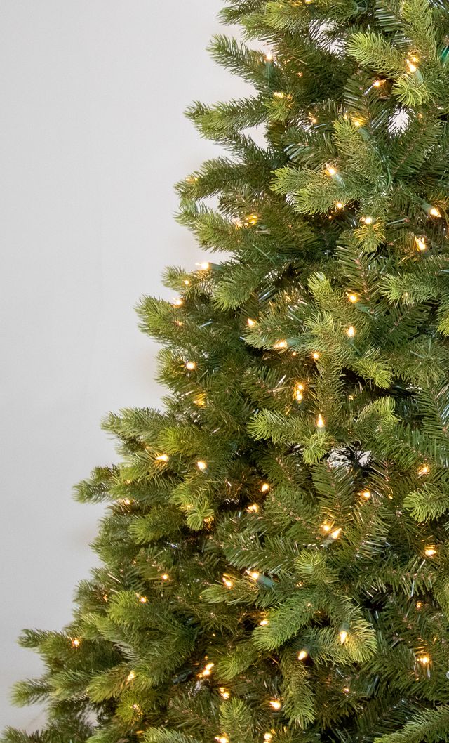 Douglas Fir Medium
