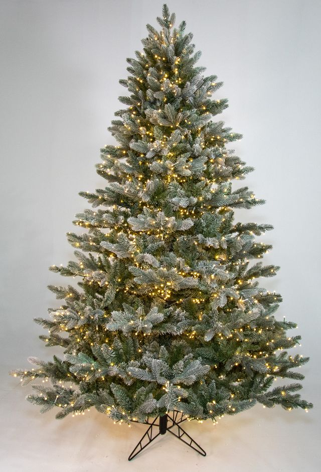 Frosted Sonoma Spruce