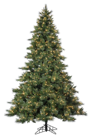 North Shore Spruce