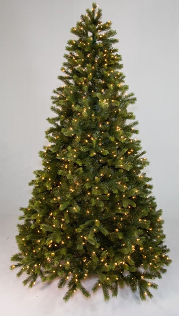 Douglas Fir Medium