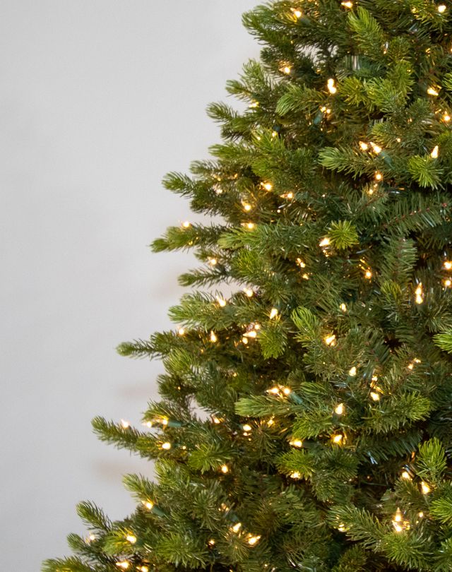 Montana Pine