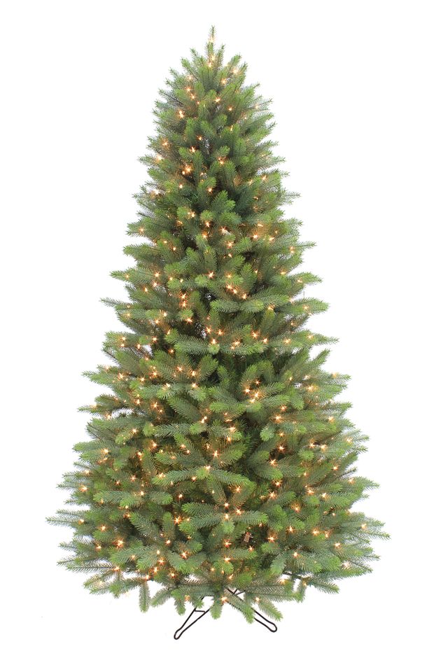 Grand Spruce Medium