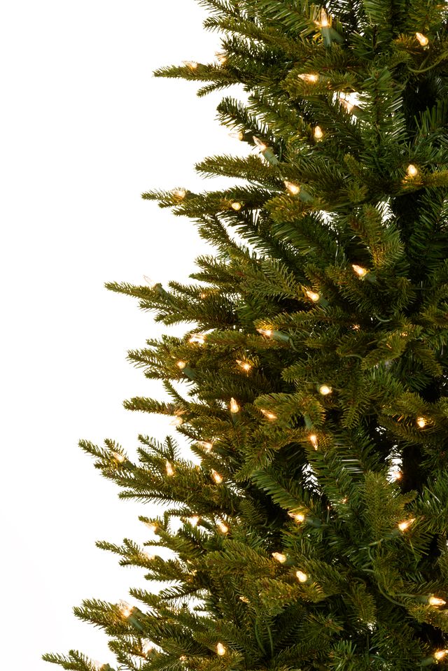 Virginia Pine