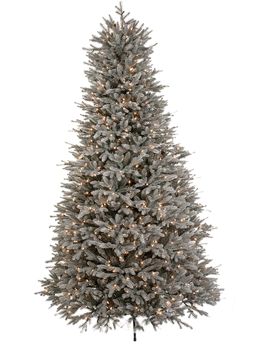 Aspen Blue Spruce