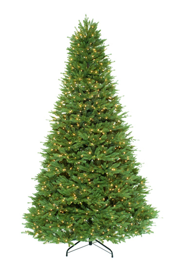 Aspen Spruce Green