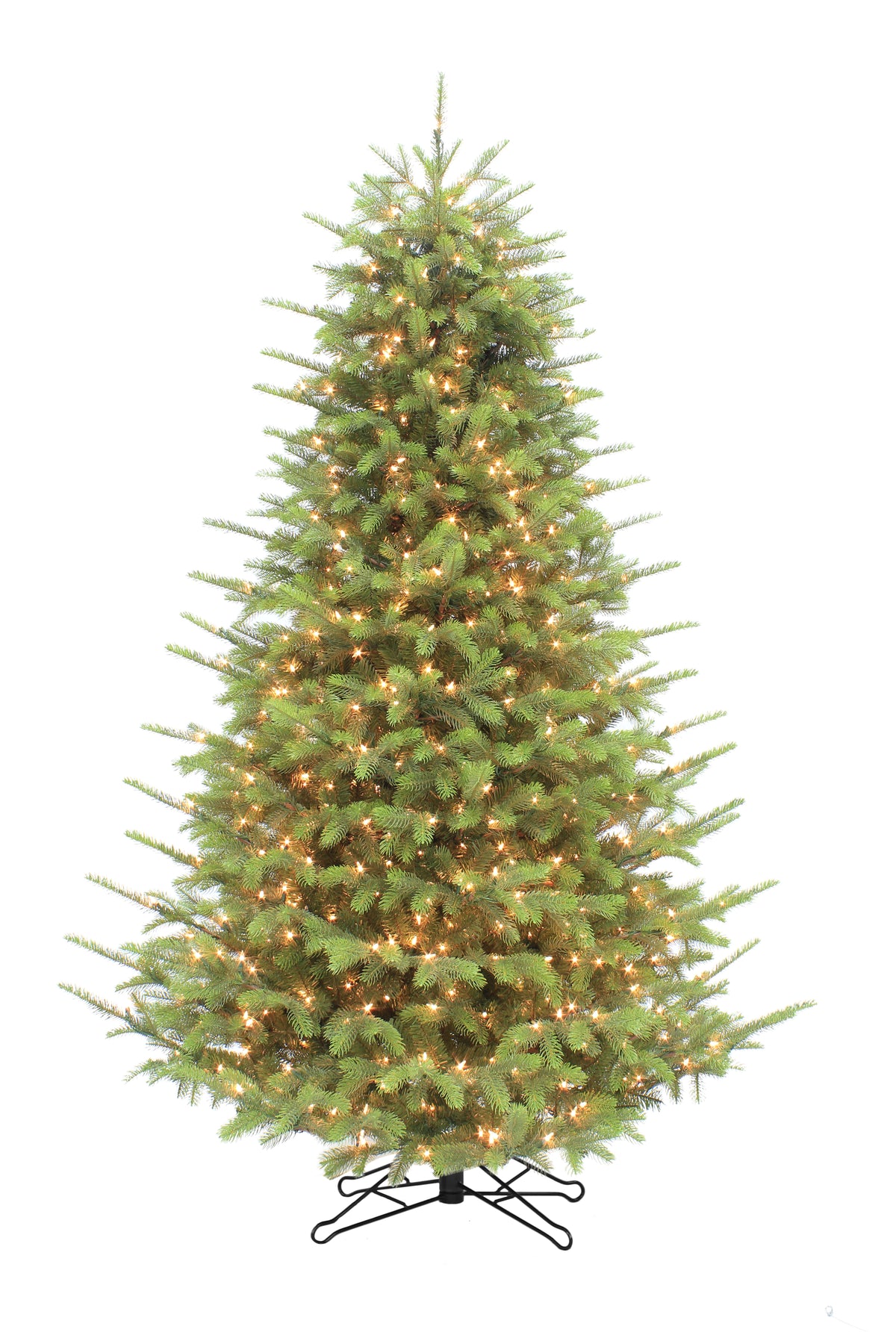Carolina Fraser Fir
