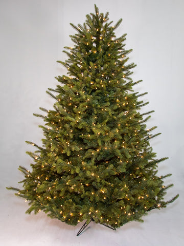 Carolina Fraser Fir Deluxe