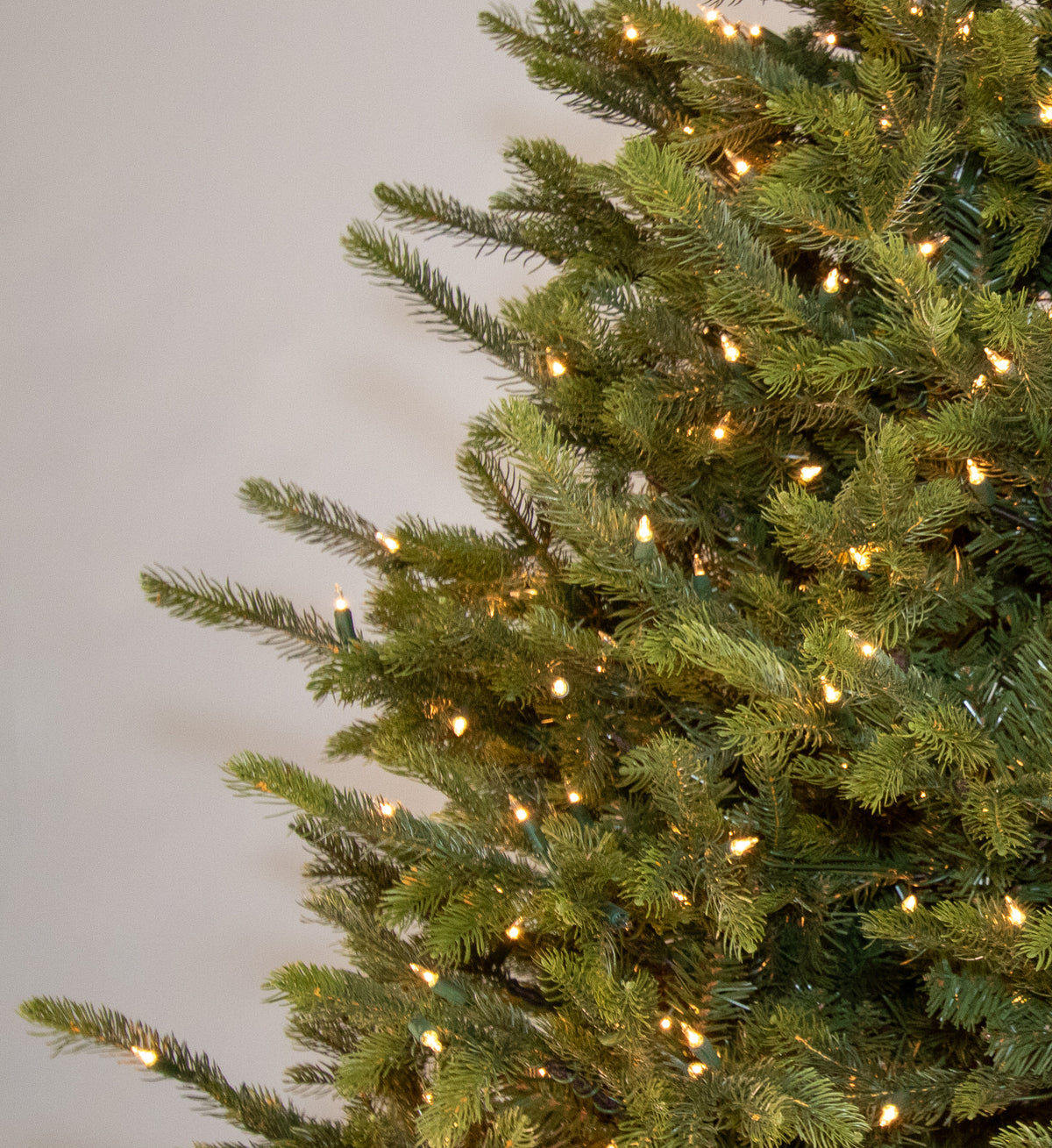 Carolina Fraser Fir Deluxe
