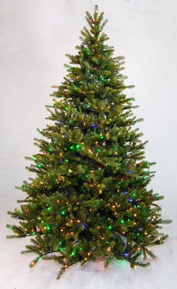 Dakota Fir