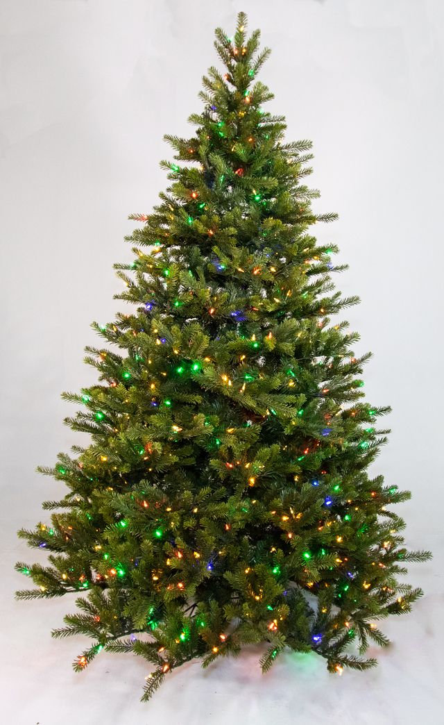Dakota Fir