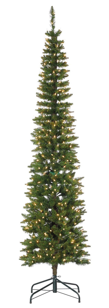 Summit Spruce