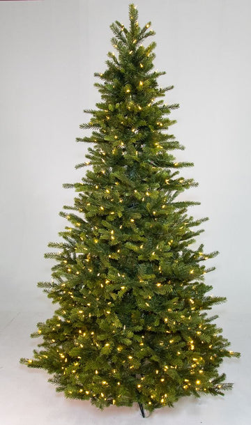 Dakota Fir Medium