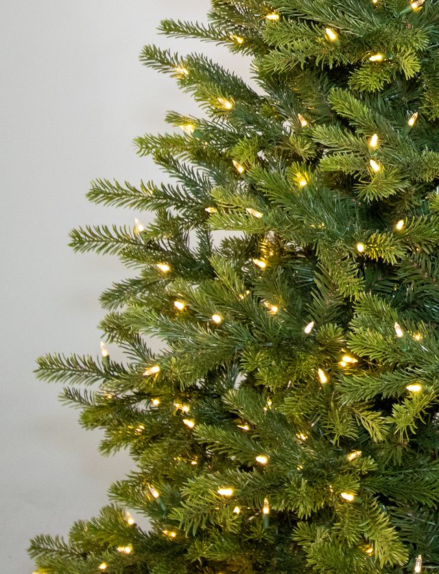 Dakota Fir Medium