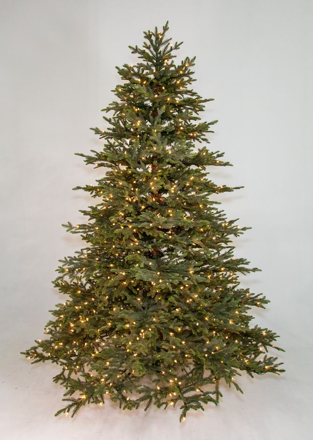 Laurel Fir