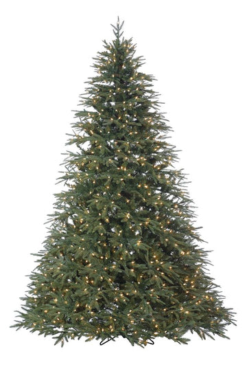 Noble Fir