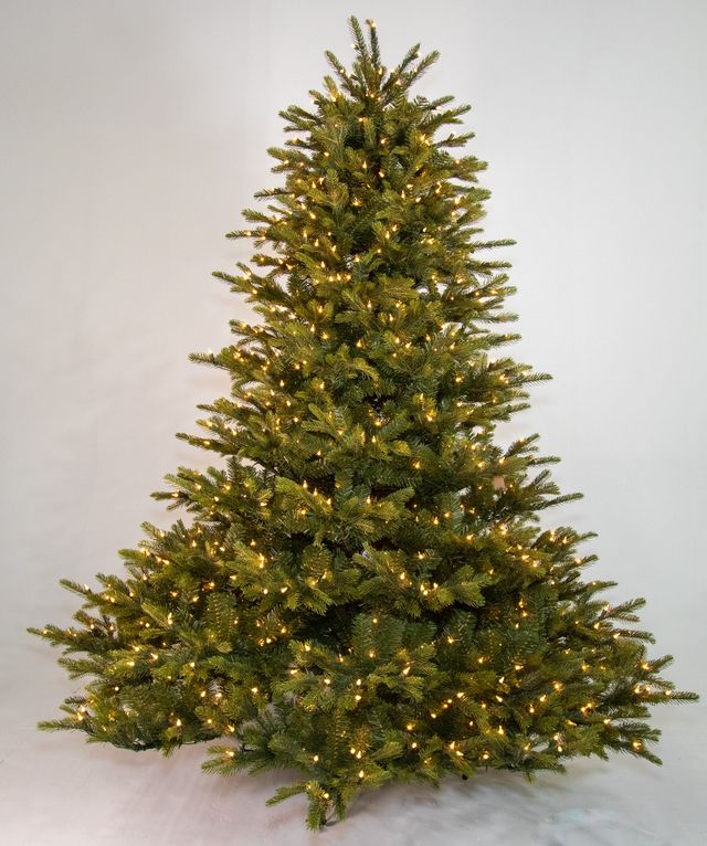 Cimarron Spruce