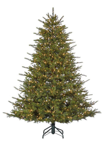 Cascade Fir
