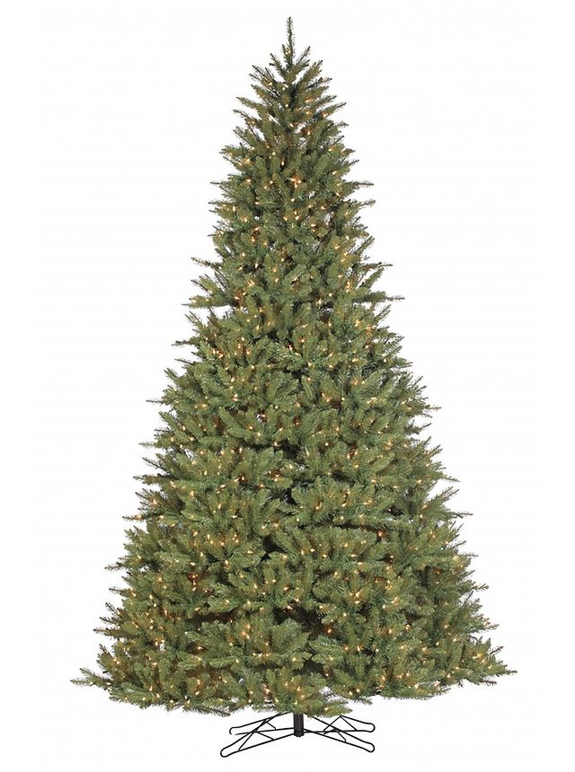 Dartmouth Pine