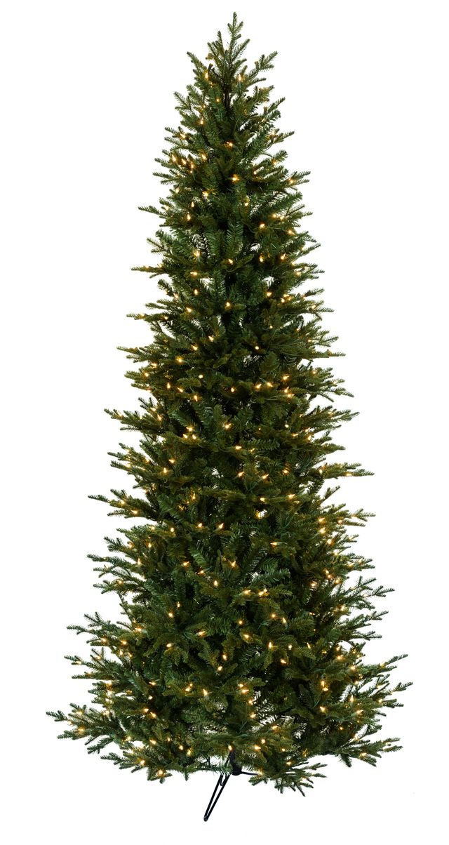 Virginia Pine