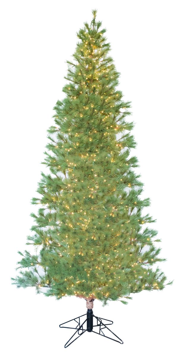 Studio Spruce