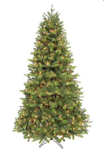Rocky Mountain Pine