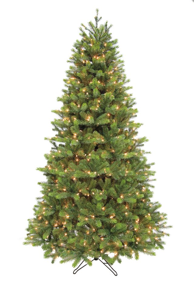 Rocky Mountain Pine