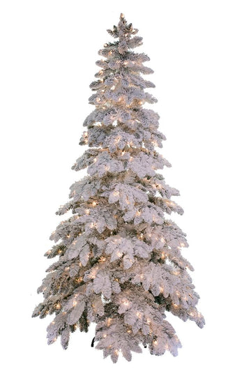 Snowfall Pine