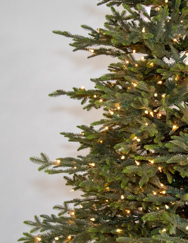 Laurel Fir