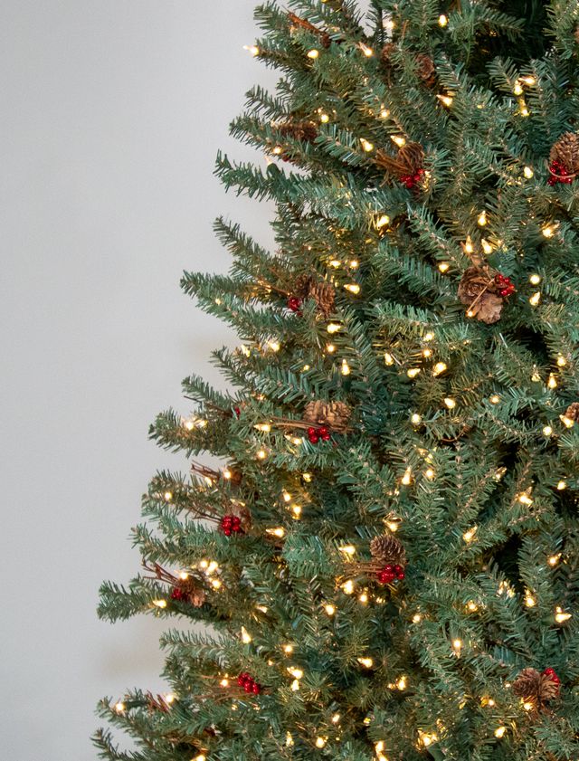 Chesapeake Pine