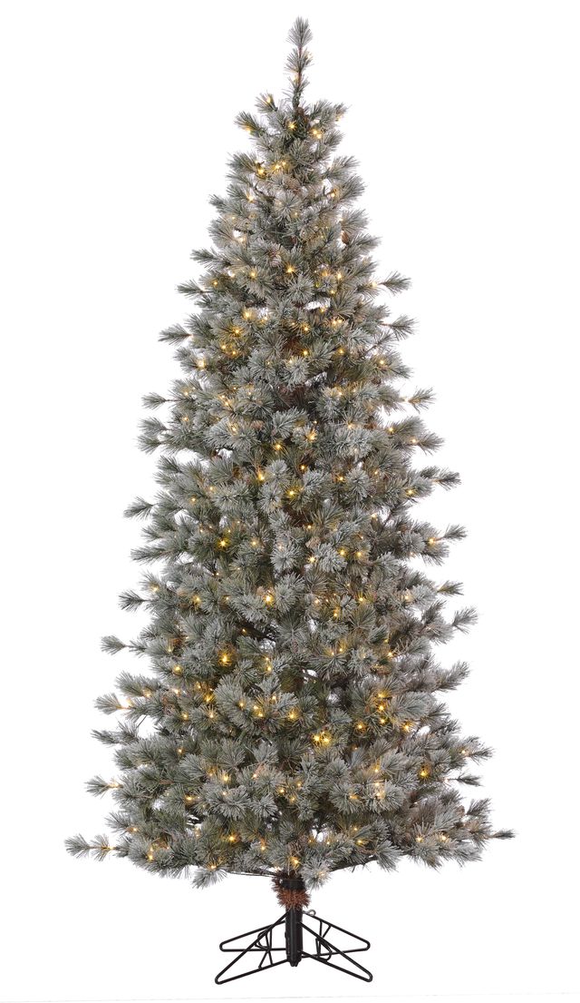 Sugar Plum Pine Slim