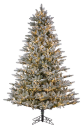Frosted-Sonoma-Spruce-2