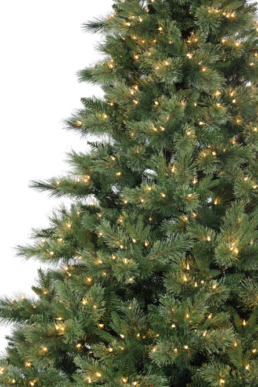 North-Shore-Spruce-Close